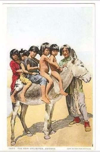 The Hopi Unlimited, Early 1900s Arizona Postcard (Detroit Publishing)