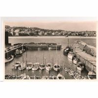 Harbour & West Bay North Berwick East Lothian 1950s Postcard 