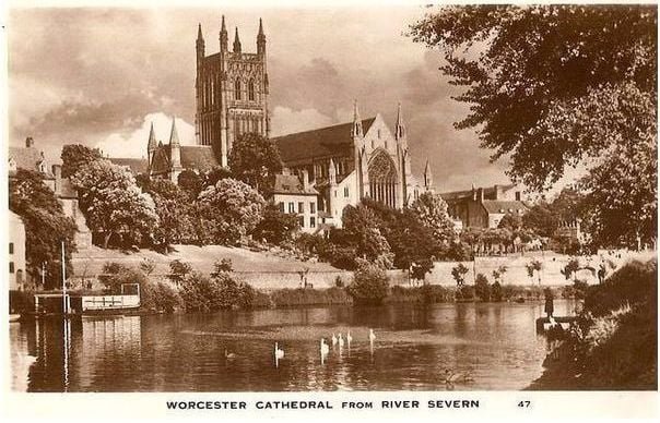 Worcester Cathedral From River Severn Postcard