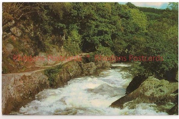 The Falls Of Leny Callander Perthshire Scotland 1960s Postcard