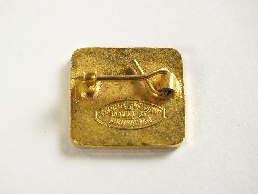 Townswomens Guild (T G), Lapel Pin Badge.