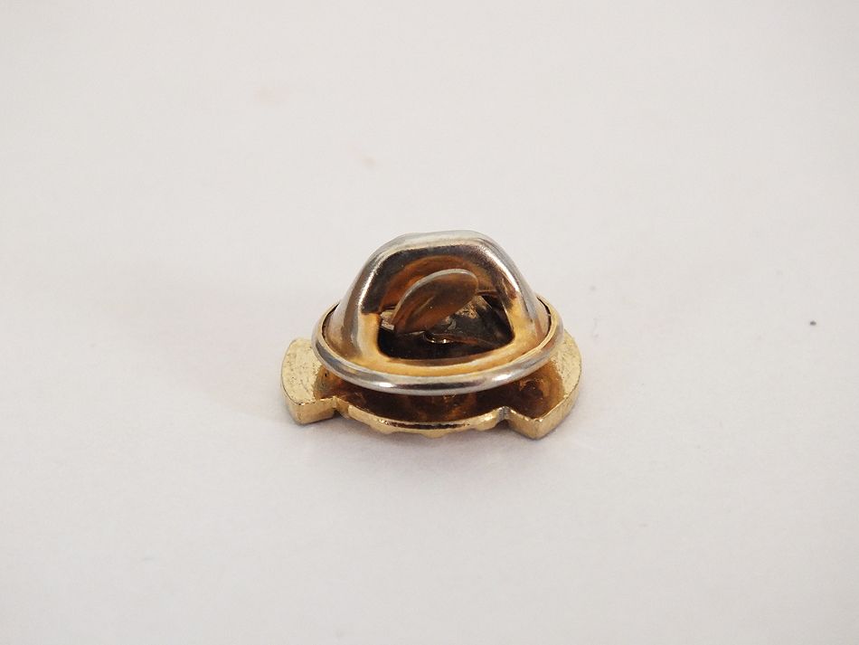 Rotary Club Past President Badge-Tie Tack Pin