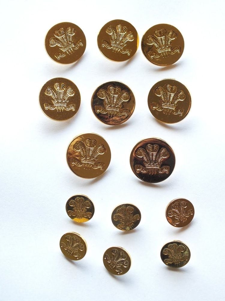 Holland & Sherry Gilt Blazer Buttons, Prince of Wales Feathers, Fleur de Ly