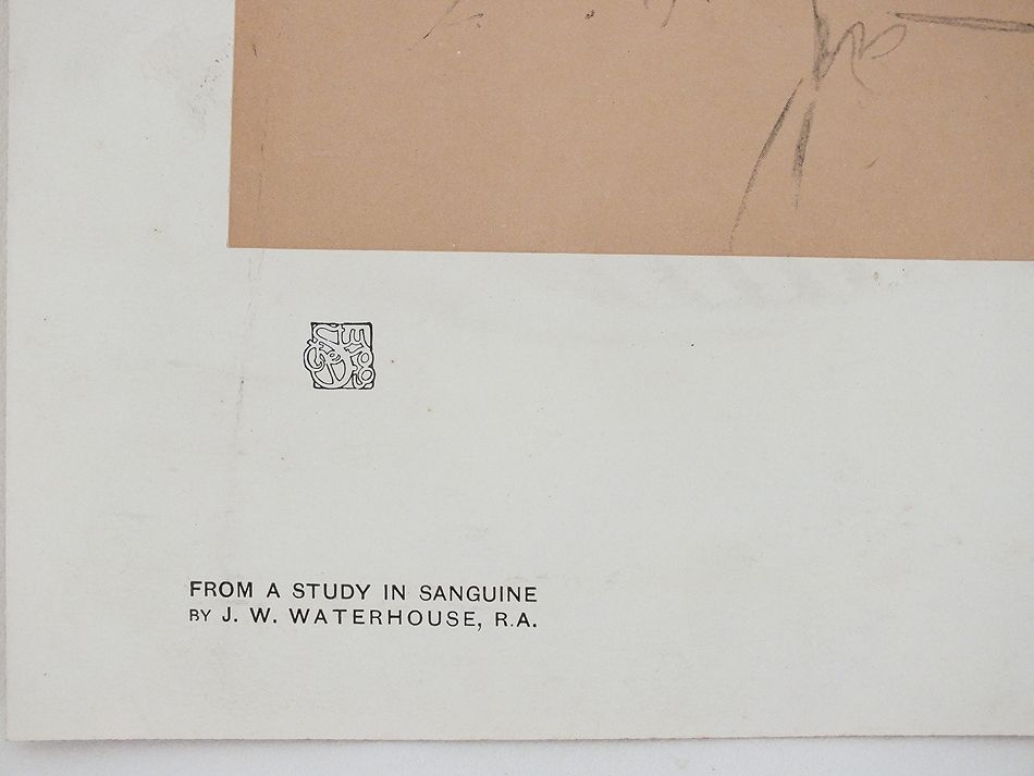 Female Study In Sanguine by J W Waterhouse R A