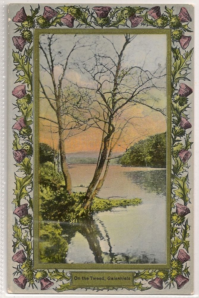 Davidson Thistle Border Postcard - On The Tweed, Galashiels