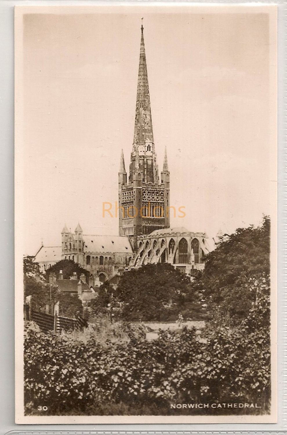 Norwich Cathedral, Norfolk. Real Photo Postcard