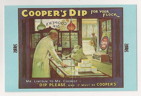 William Cooper, Coopers Dip Advertising, Early 1900s Nostalgia Reproduction Postcard