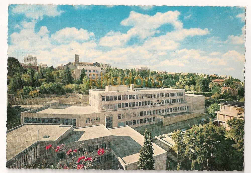 The American University, Beirut, Lebanon c1960s Panoramic View Postcard