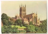 Worcester Cathedral From The River Photo Postcard 