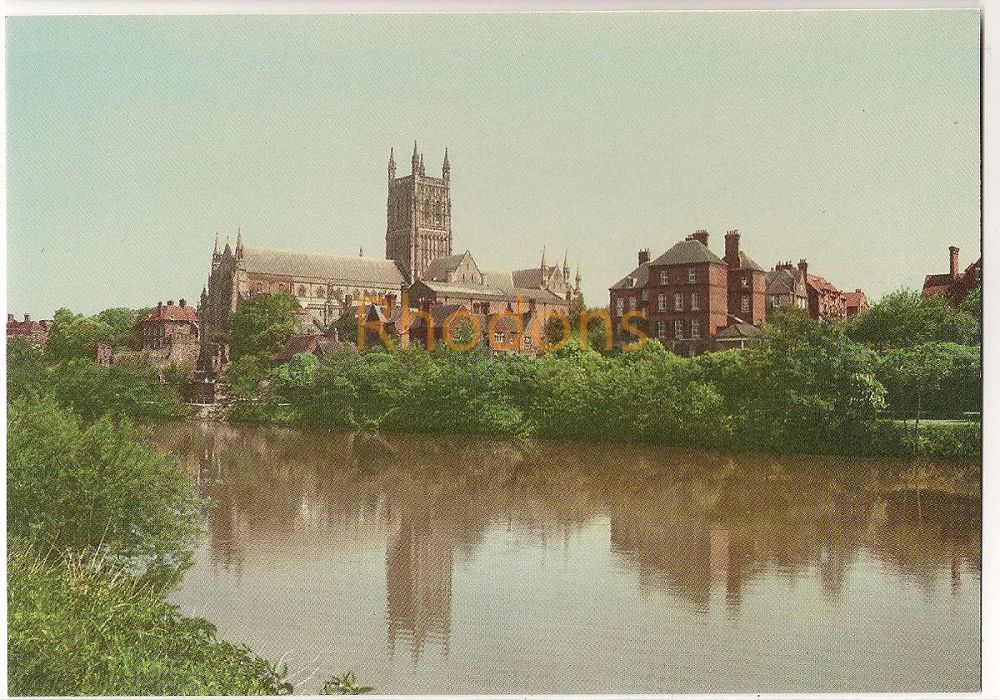 Worcester Cathedral And Canonries Photo Postcard 