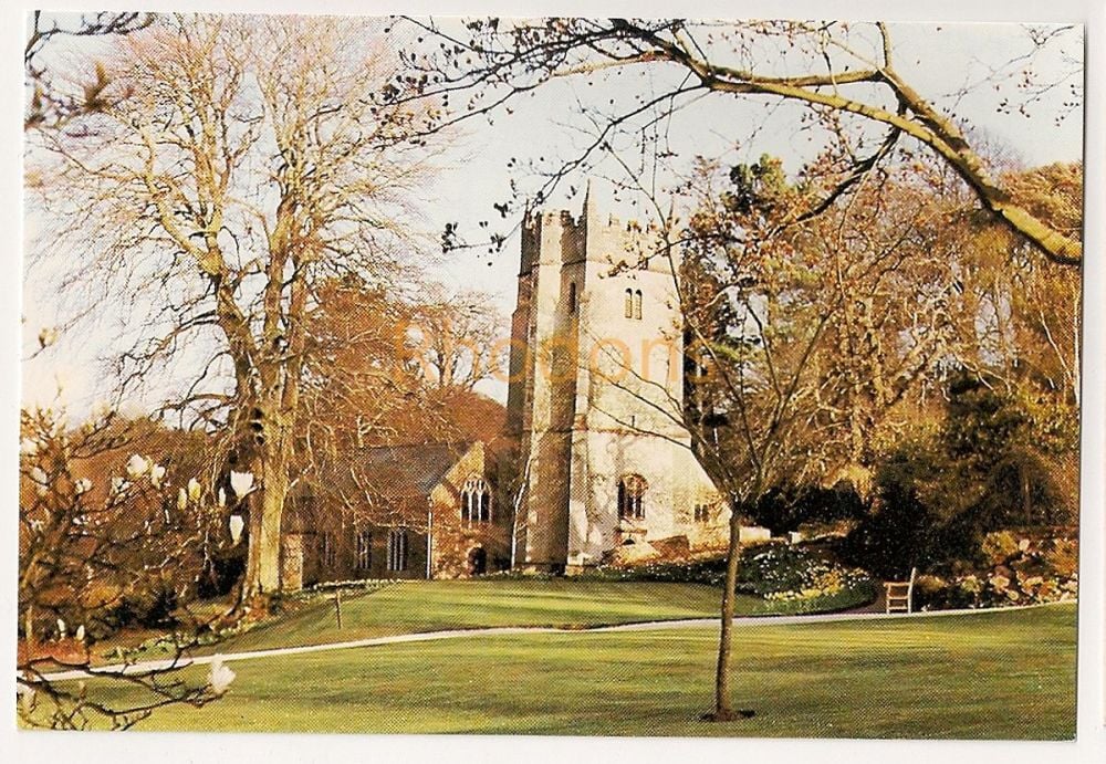 Cockington Church Torquay Devon. Colour Photo Picture Postcard