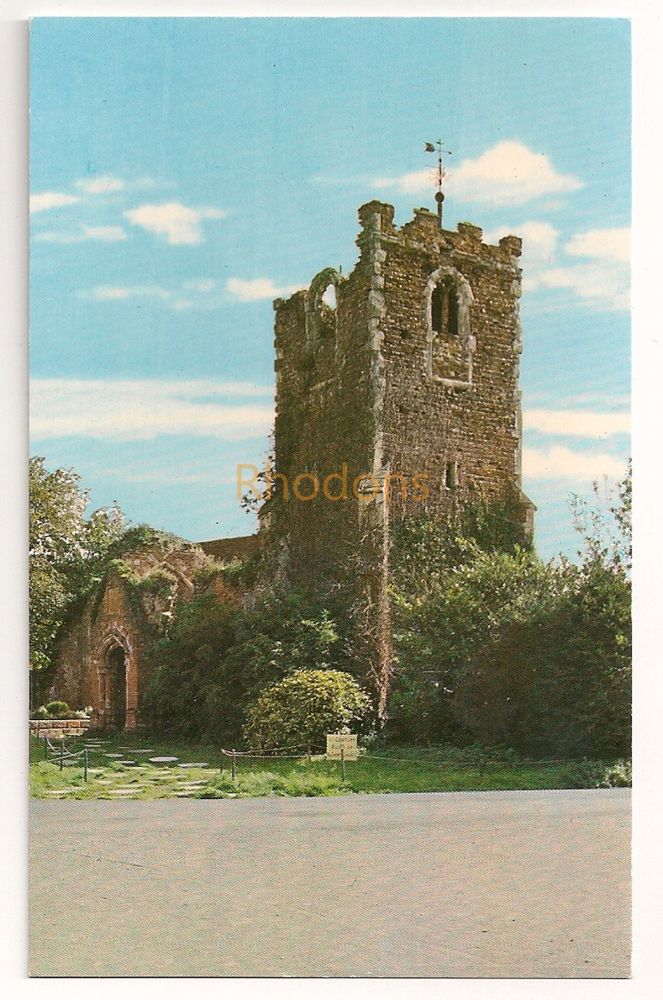 Essex: All Saints Church 11th Century Ruins, Colchester Zoo. Colour Photo Postcard (Dennis)