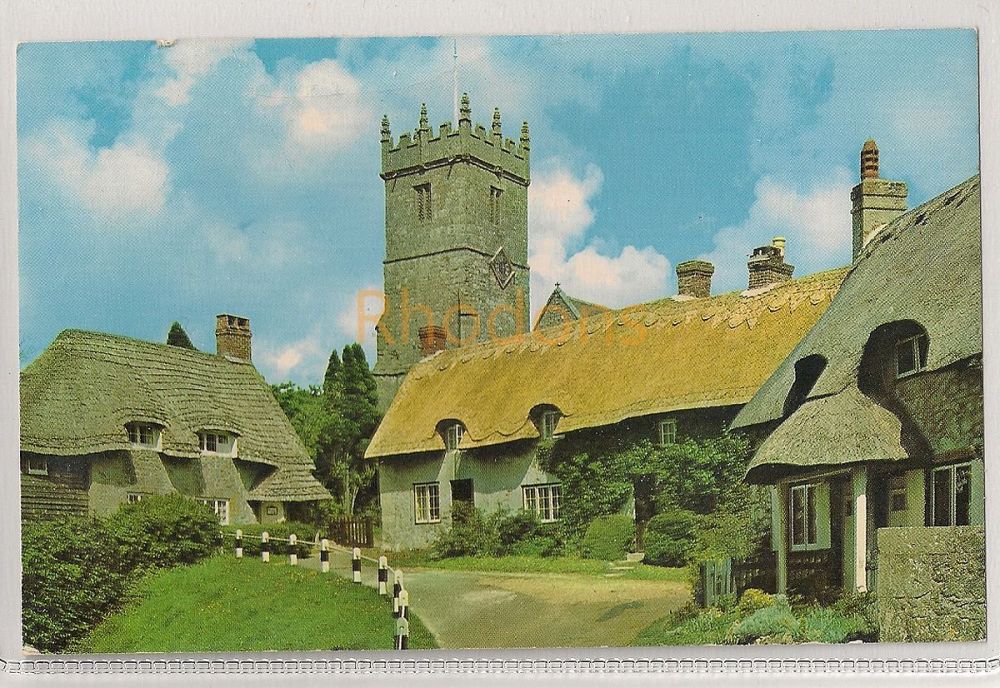 Isle Of Wight IOW. Godshill Church And Old Cottages Colour Photo Postcard