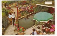 Garden Of The Jersey Pottery Circa 1960s Colour Photo Postcard
