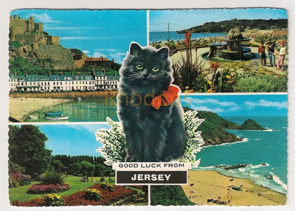 Black Cat - Good Luck From Jersey Multiview Postcard 