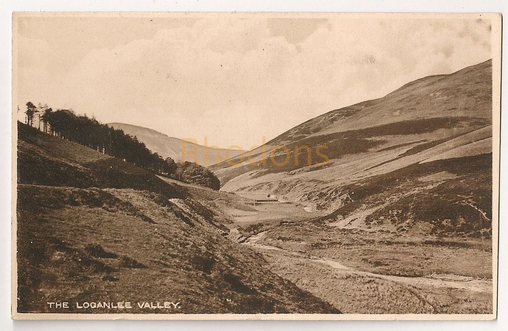 Loganlee Valley Midlothian Scotland. Early 1900s Photo Postcard 