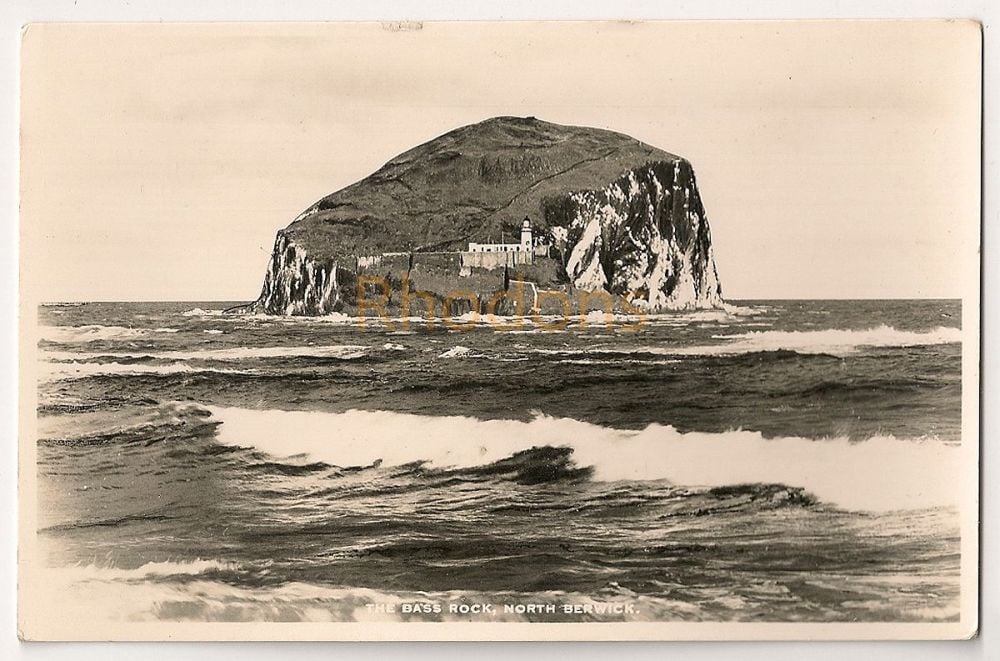 The Bass Rock North Berwick East Lothian Scotland Photo Postcard