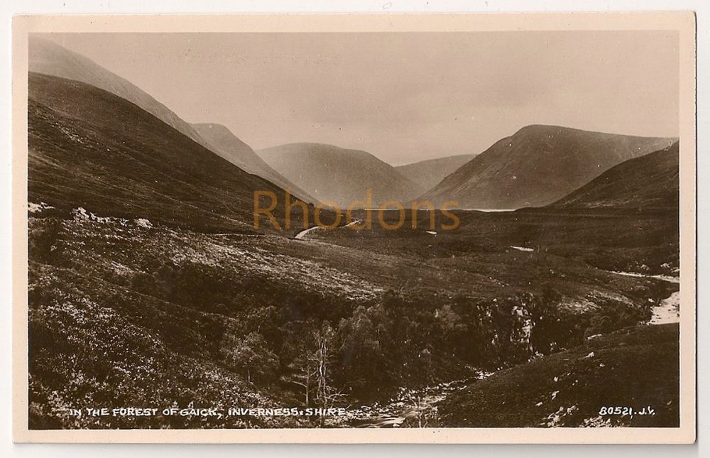 Forest Of Gaick Inverness-shire Scotland Real Photo Postcard