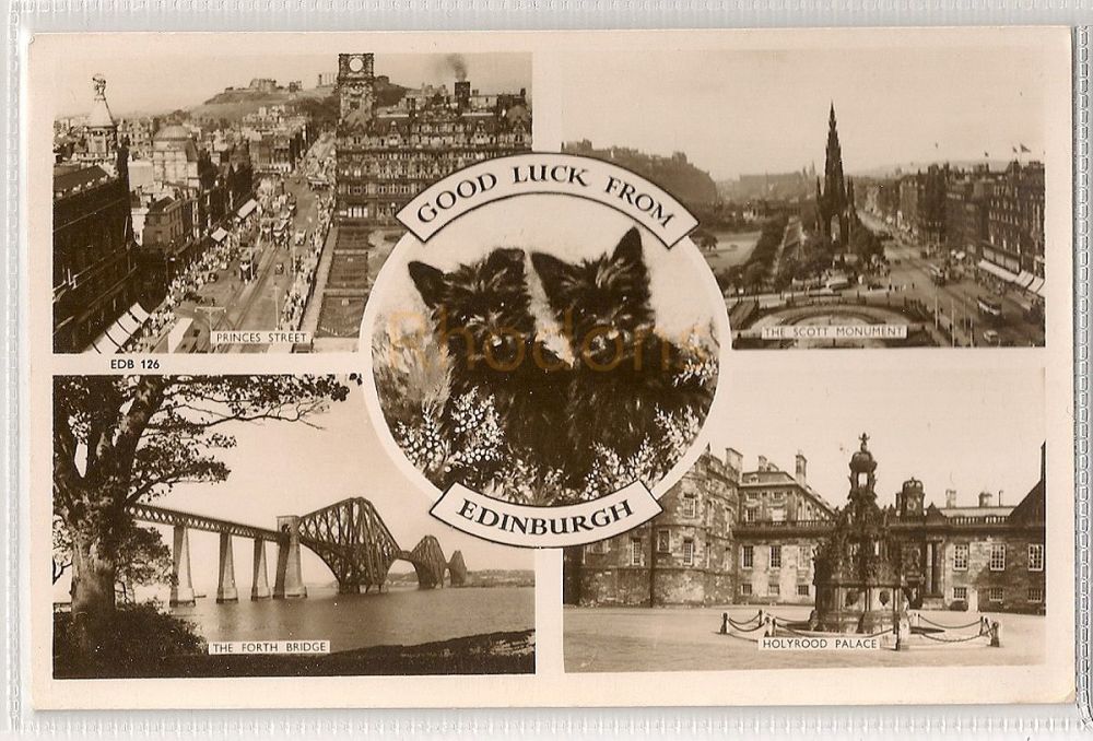 Good Luck From Edinburgh. Multiview Postcard With Scottie Dogs