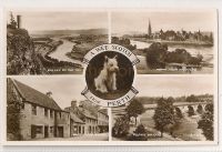 Perth Scotand Multiview Photo Greetings Postcard With Scottie Dog