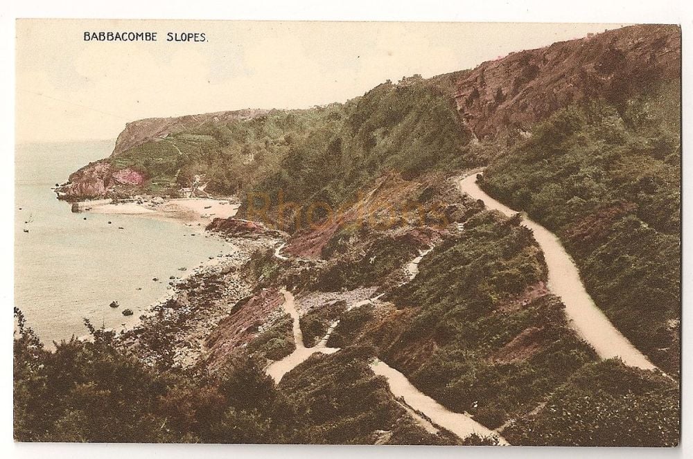Babbacombe Slopes Near Torquay Devon, Colour Printed Postcard