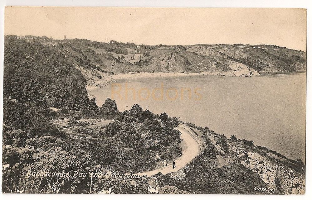 Babbacombe Bay And Oddacombe Devon-Early 1900s Postcard 