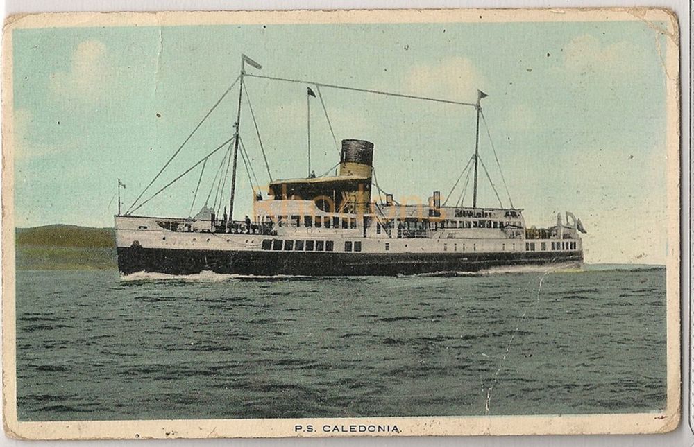 P S Caledonia. Early 1900s Shipping Postcard