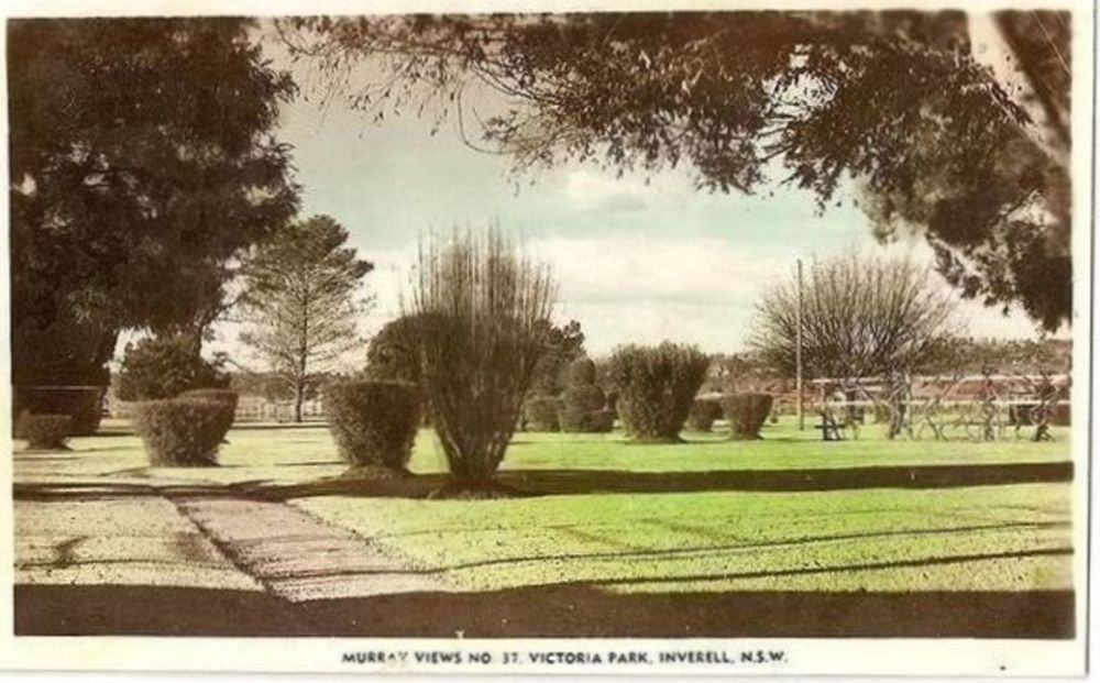Victoria Park Inverell, NSW Australia Early 1900s Real Photo Postcard 
