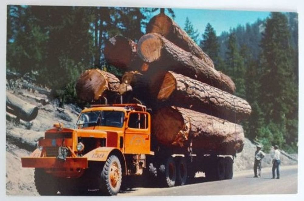 Logging Truck USA. 1970s, 1980s Colour Postcard