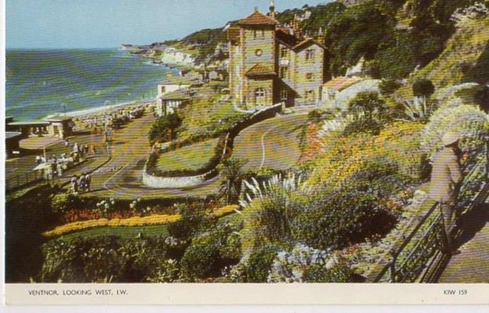 Isle Of Wight: Ventnor Looking West - W J Nigh Cotman Color Real Colour Photo Postcard  