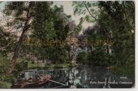 River Granta Paradise, Cambridge. Pre 1914 Postcard. Esperanto Message