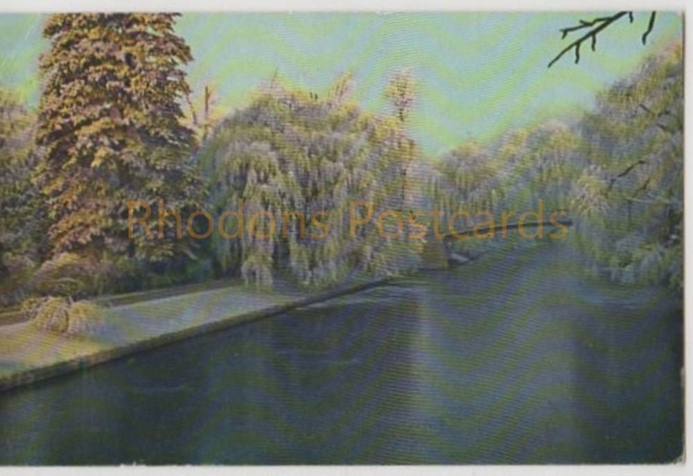 View From Clare College Bridge, Cambridge - 1980s Photo Postcard