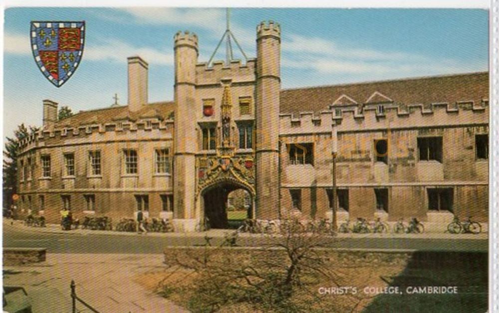 Christs College Cambridge Colour Photo Postcard