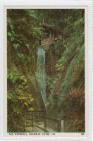 Isle of Wight: The Waterfall, Shanklin Chine  Postcard  (290)