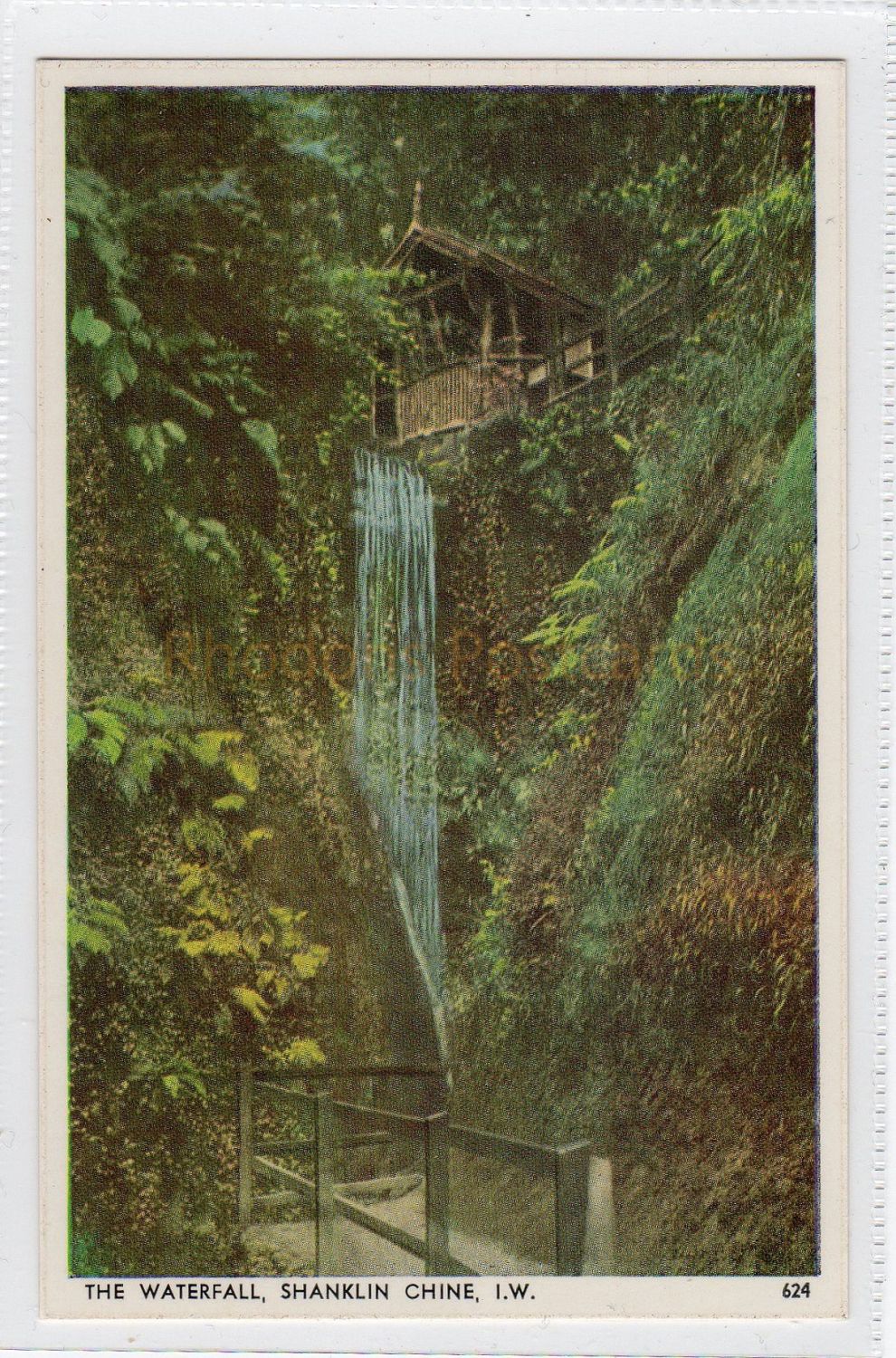 The Waterfall, Shanklin Chine.  Isle Of Wight Postcard  (290)
