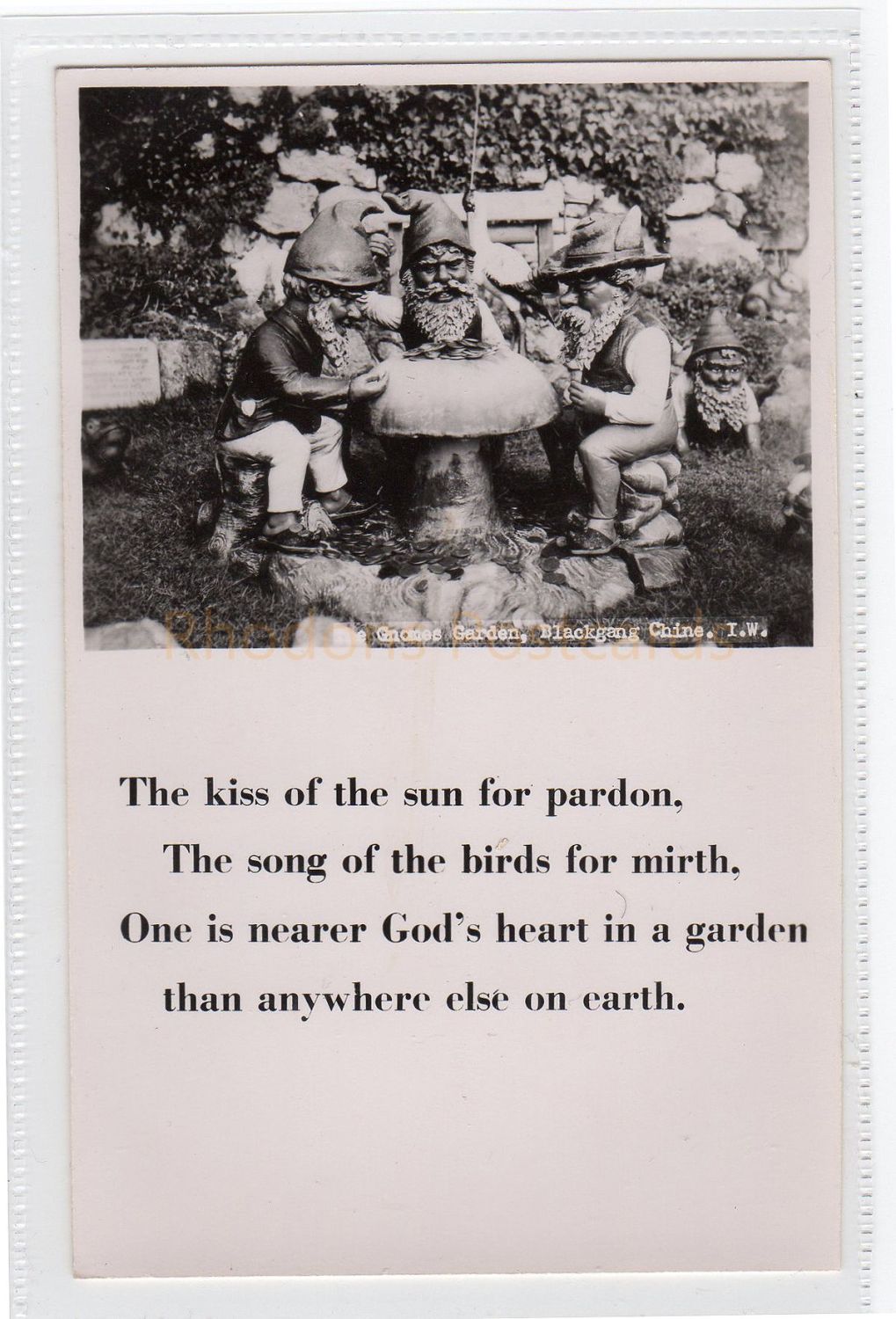 The Gnome Garden, Blackgang Chine, Isle of Wight. Real Photo Postcard  (292