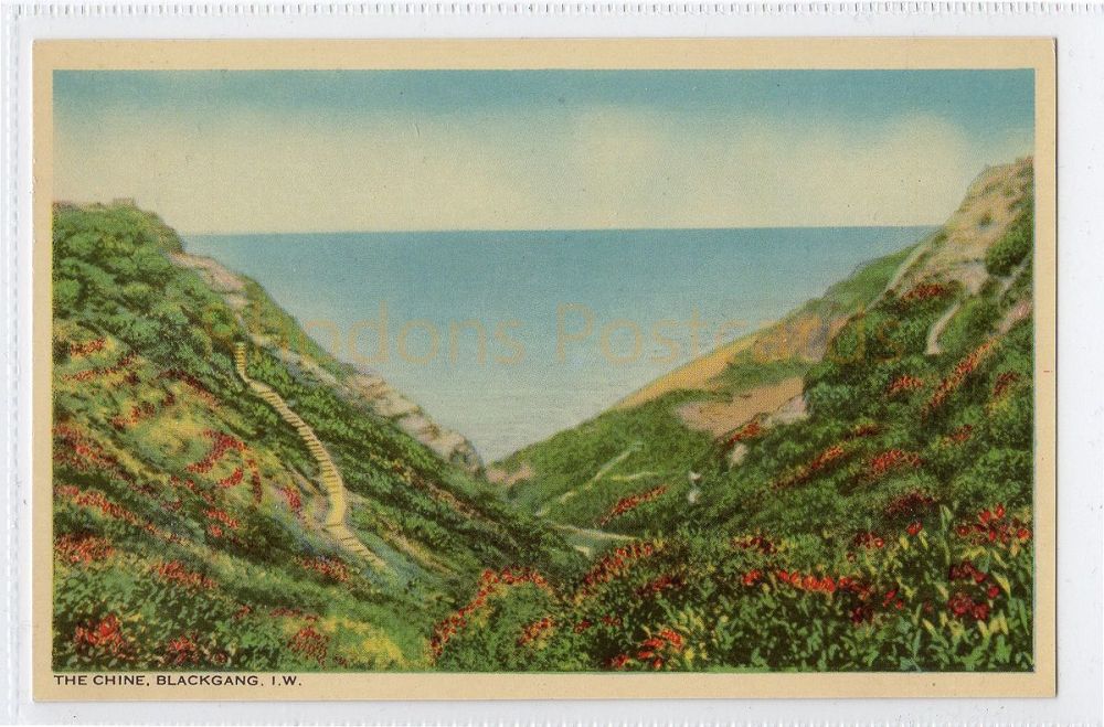 Isle of Wight: The Chine, Blackgang, IOW  Postcard  (287)