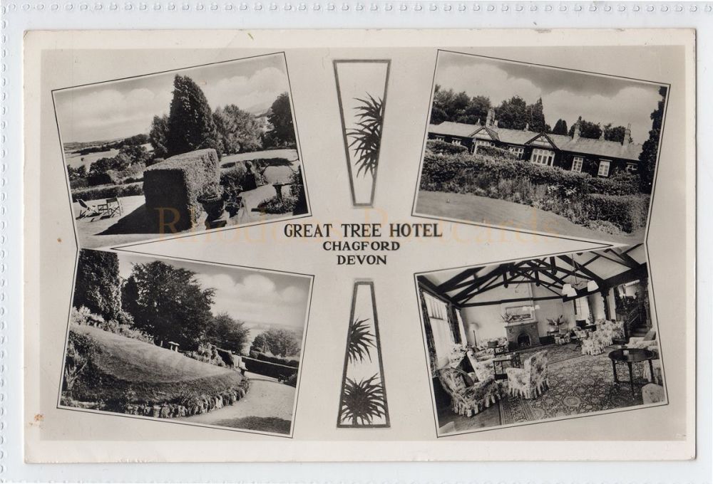 Great Tree Hotel, Chagford, Devon - 1950s RP Multiview Postcard