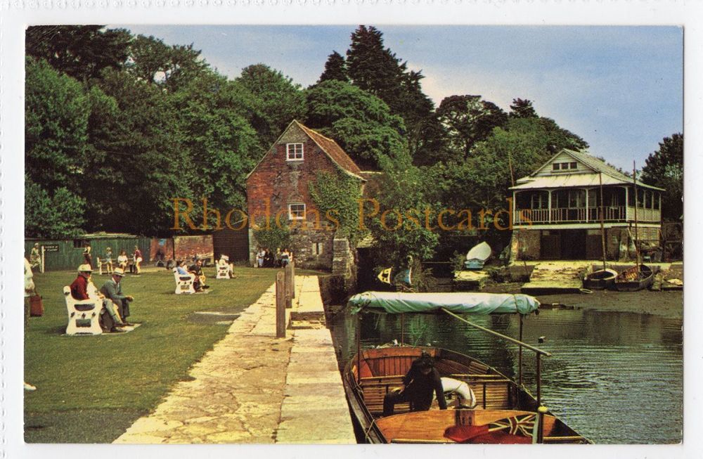 The Old Mill, Christchurch - Colour Photo Postcard