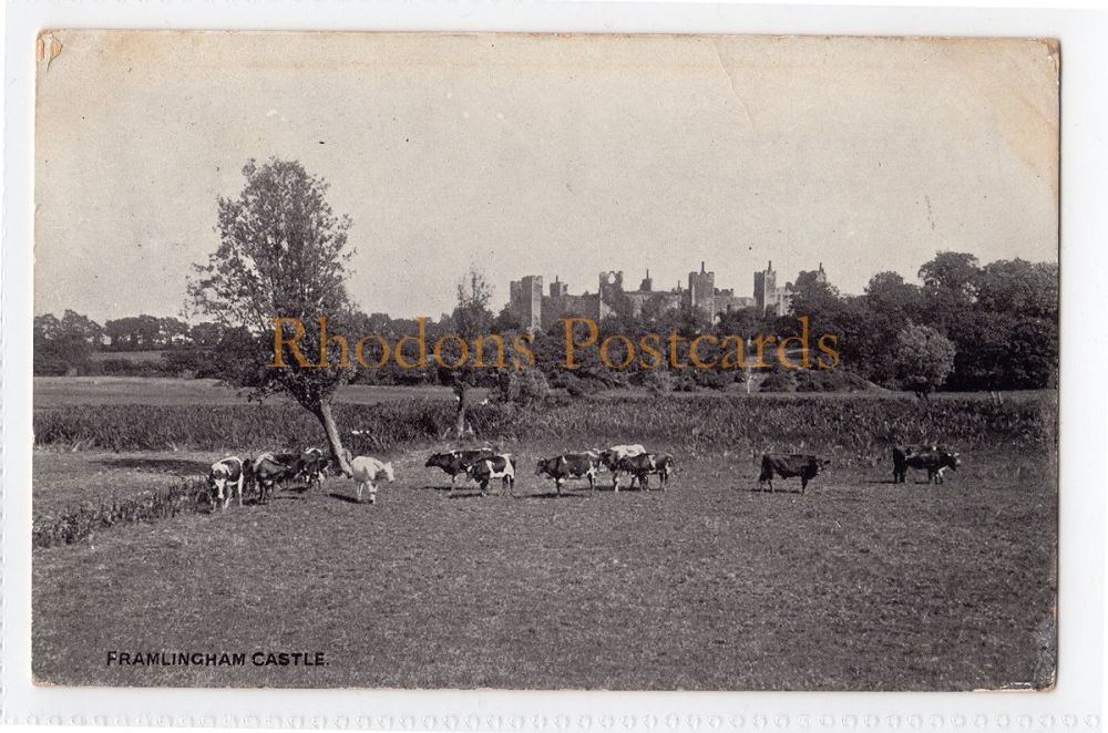Framlingham Castle, Suffolk-Photochrom Co 'Silvotype' Postcard