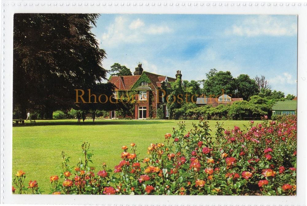 Stanway Hall, Colchester Zoo-Colour Photo Postcard