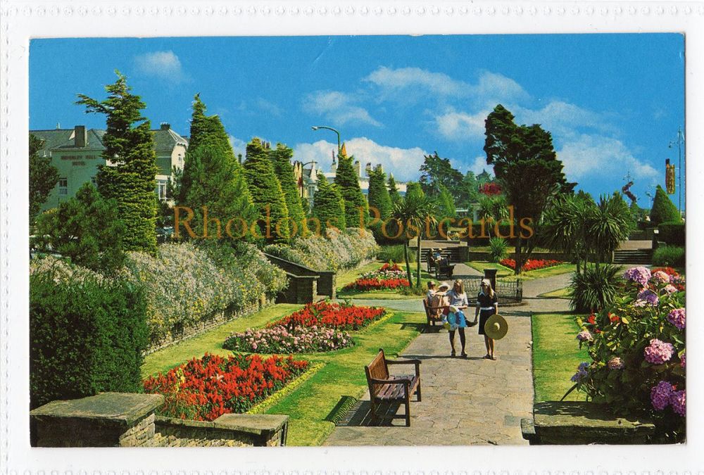 Sunken Gardens Clacton on Sea Essex-1980s Colour Postcard