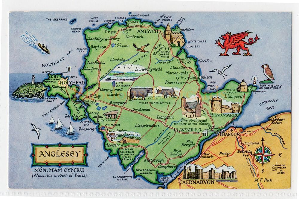 Anglesey Map Postcard-M F Peck-J Salmon Ltd 