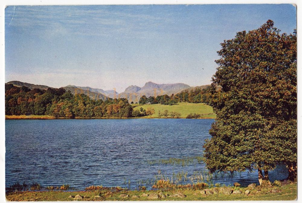 Loughrigg Tarn Westmorland-J A Dixon Postcard #L D 182