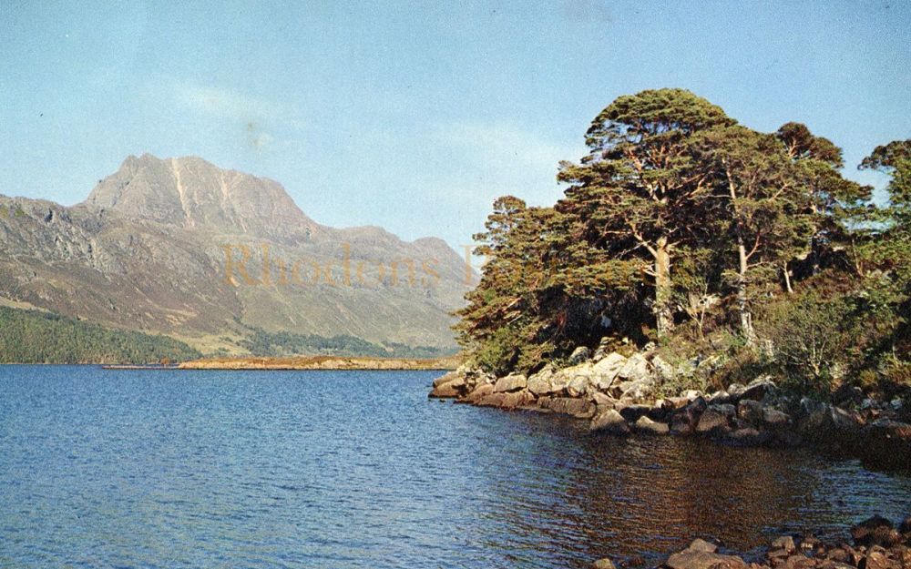 Loch Maree, Wester Ross-J A Dixon Colour Postcard #3611