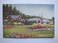 Gardens, The Square, Sandringham, Norfolk-Circa 1950s Postcard