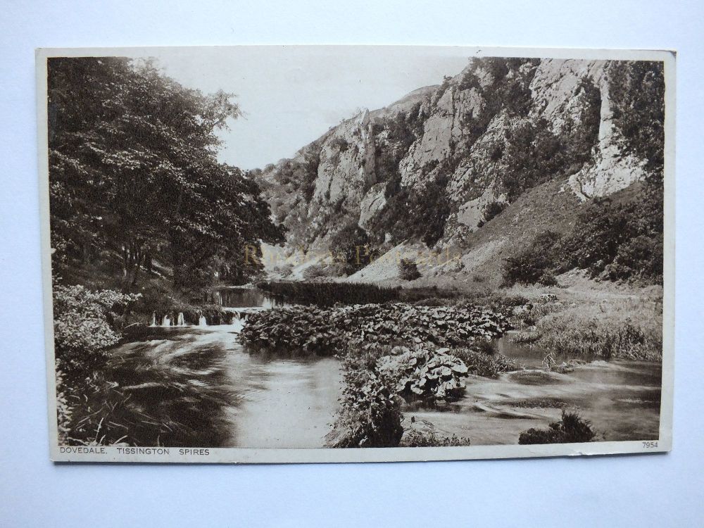 Derbyshire Postcard - Tissington Spires Dovedale, Peak District - Greys Postcard