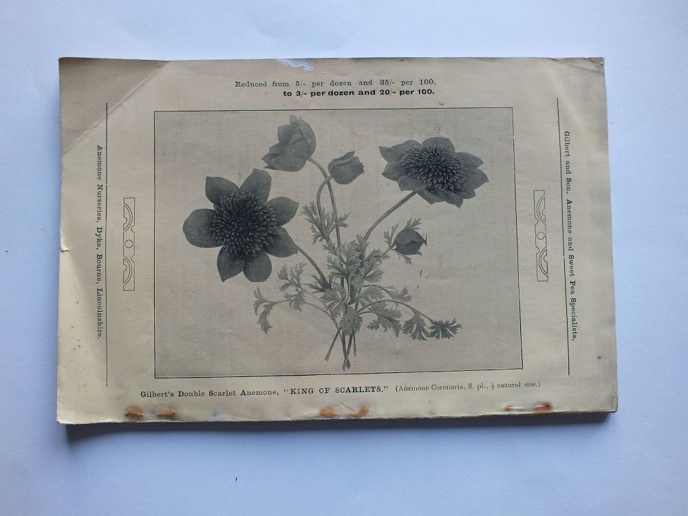 Sweet Peas, Anemones, Plants And Bulbs Catalogue For 1907 - Gilbert & Son, Bourne, Lincolnshire
