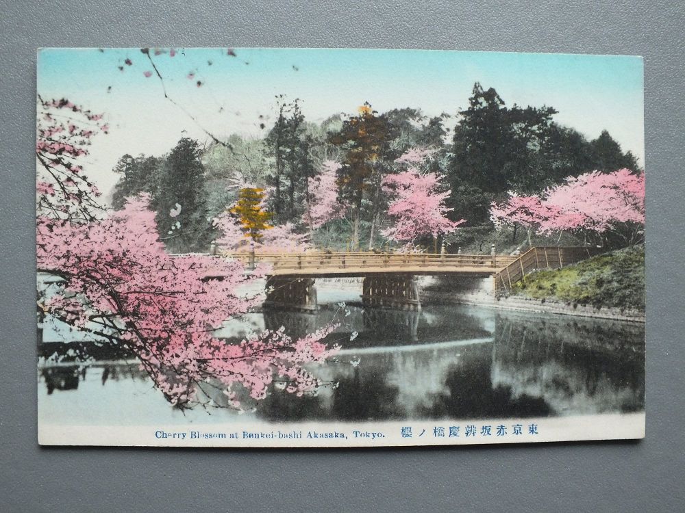 Japan- Cherry Blossom at Benzei-bashi Akasaka, Tokyo - Early 1900s Postcard