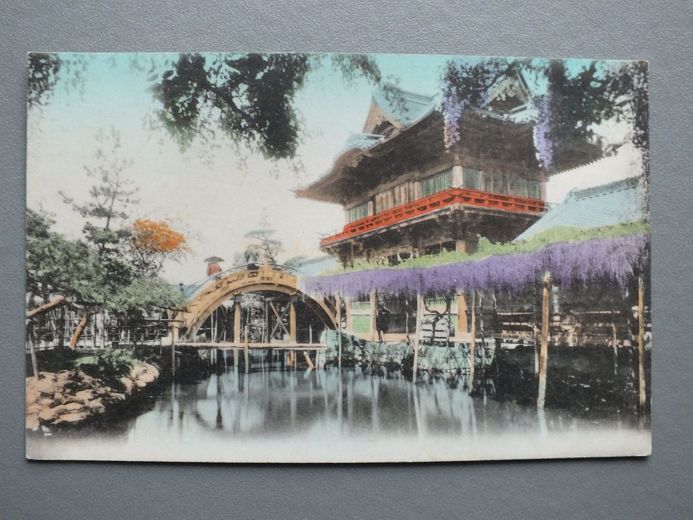Japan - Riverside View - Bridge, Buildings, Wisteria In Flower - Early 1900s Postcard